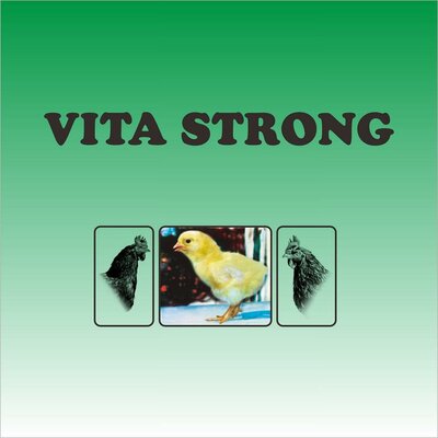 Trademark VITA STRONG