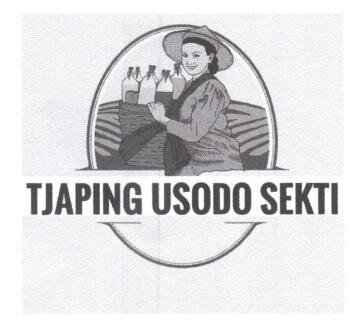 Trademark TJAPING USODO SEKTI