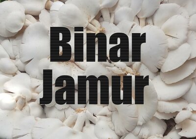 Trademark Binar Jamur