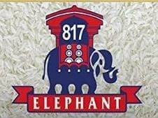 Trademark ELEPHANT