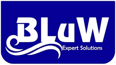 Trademark BLUW EXPERT SOLUTIONS