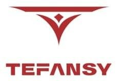 Trademark TEFANSY + LOGO