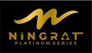 Trademark NINGRAT PLATINUM SERIES