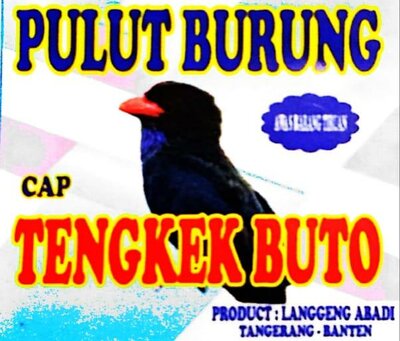 Trademark PULUT BURUNG CAP TENGKEK BUTO