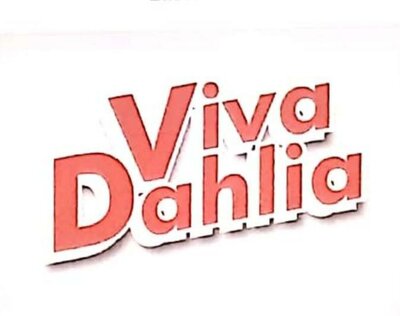 Trademark VIVA DAHLIA