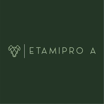 Trademark ETAMIPRO A