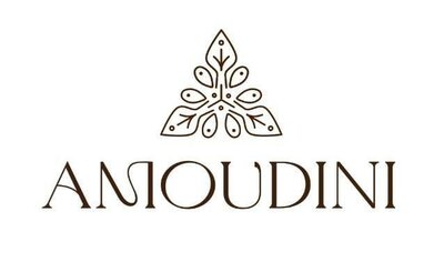 Trademark AMOUDINI