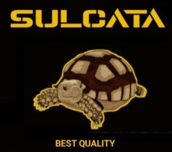 Trademark SULCATA + LOGO