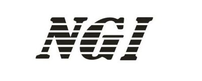 Trademark NGI + LOGO