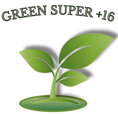 Trademark GREEN SUPER +16