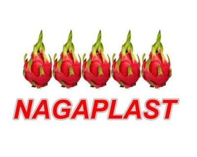 Trademark NAGAPLAST