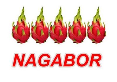 Trademark NAGABOR