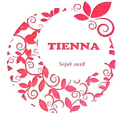 Trademark TIENNA