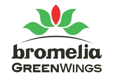 Trademark bromelia GREENWINGS