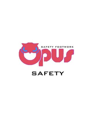 Trademark OPUS SAFETY