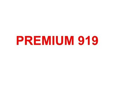 Trademark PREMIUM 919