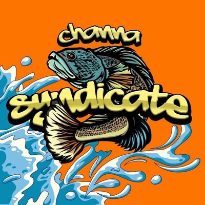 Trademark CHANNA SYNDICATE + LOGO