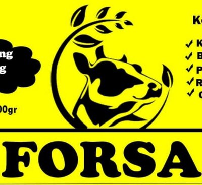 Trademark FORSA