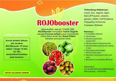 Trademark ROJObooster