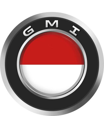 Trademark GMI