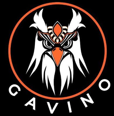 Trademark GAVINO + LOGO