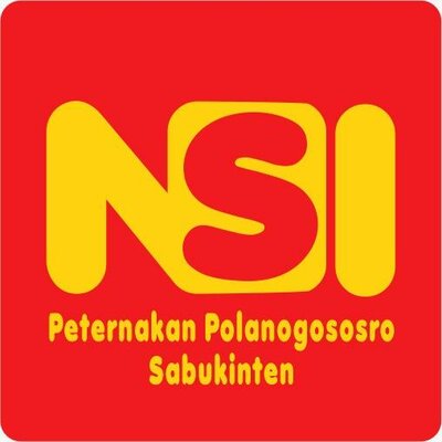 Trademark NSI