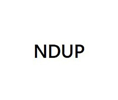 Trademark NDUP