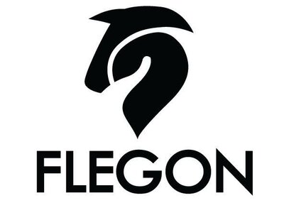 Trademark FLEGON