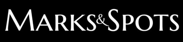Trademark MARKS&SPOTS