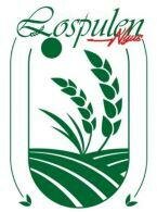 Trademark LOSPULENNYUS