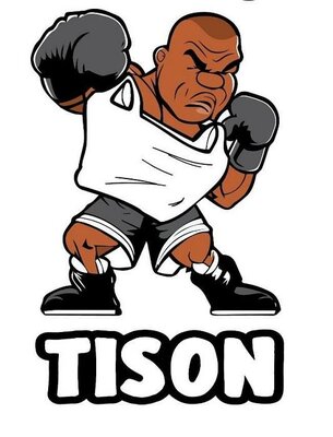 Trademark TISON DAN LOGO