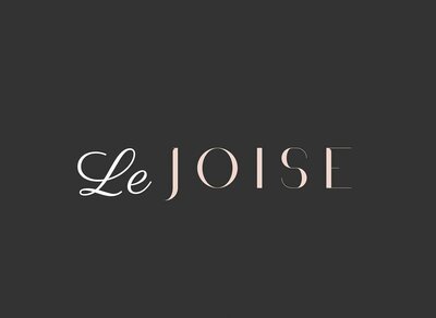 Trademark LEJOISE DAN LOGO