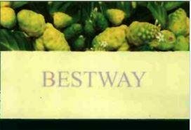 Trademark BESTWAY + Logo