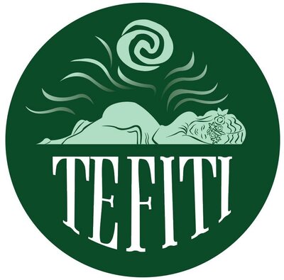 Trademark TEFITI + logo