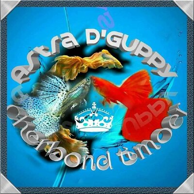 Trademark ASTRA DGUPPY