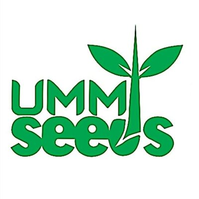 Trademark UMM SEEDS