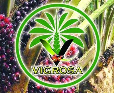 Trademark VIGROSA