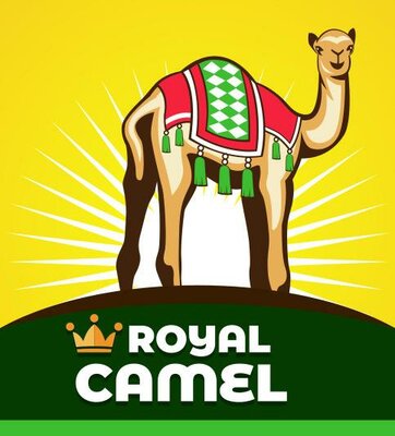 Trademark Royal Camel