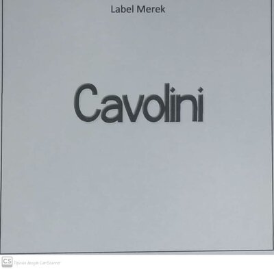 Trademark CAVOLINI + LOGO