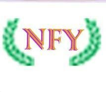 Trademark NFY