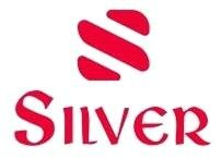 Trademark SILVER + LOGO