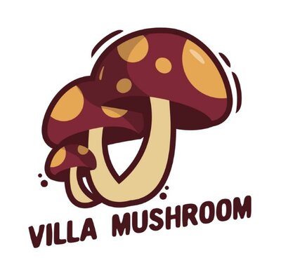 Trademark Villa Mushroom