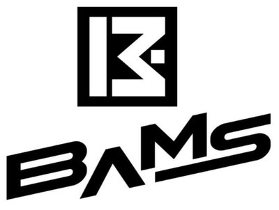 Trademark BAMS + Logo