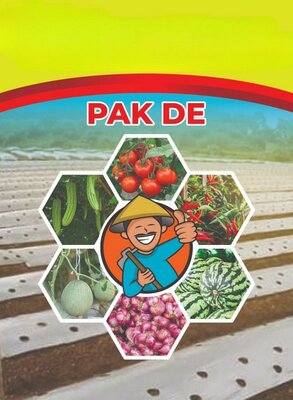 Trademark PAK DE DAN LOGO