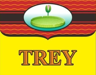 Trademark TREY + LOGO