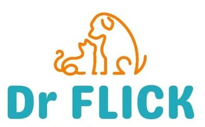 Trademark Dr FLICK