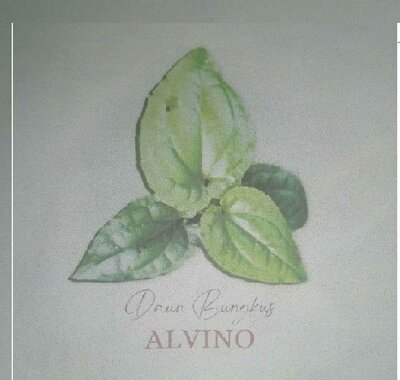 Trademark DAUN BUNGKUS ALVINO