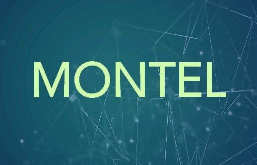 Trademark MONTEL