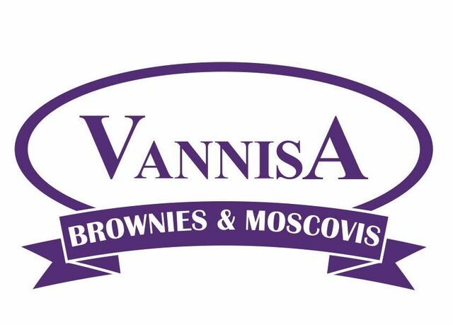 Trademark VANNISA