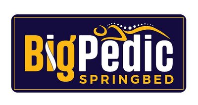 Trademark BIGPEDIC SPRINGBED